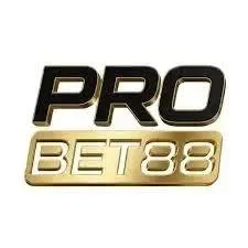PROBET88 - Nikmati Serunya Permainan Bingo Tanpa Henti